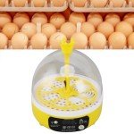 Fdit Mini Egg Incubator with Auto Temperature Control