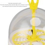Fdit Mini Egg Incubator with Auto Temperature Control