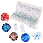 60-Piece Microscope Slide Set for Science Labs