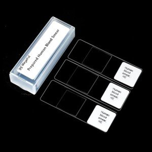 Human Blood Smear Microscope Slides, Pack of 5