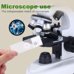60-Piece Microscope Slide Set for Science Labs