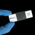 16-Piece Prepared Microscope Slides Set for Biology