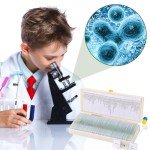 60-Piece Microscope Slide Set for Science Labs