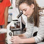 16-Piece Prepared Microscope Slides Set for Biology