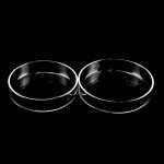 QWORK 5-Pack Sterile Glass Petri Dishes, 90mm