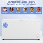SMETA 18 Cu. Ft. Commercial Chest Freezer
