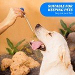 Graduated Glass Pipettes with Rubber Tops - 8 Pack