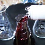 15-Piece Chemistry Shot Glass and Test Tube Set