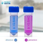 iQBac UV Check Test Kit - 4 Pack