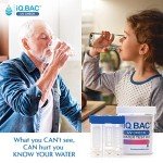 iQBac UV Check Test Kit - 4 Pack