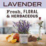 MRS. MEYER'S Hand Soap - Lavender, 12.5 oz (3 Pack)