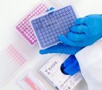 Kashi Scientific 200 uL Sterile Pipette Tips