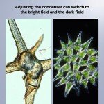 Darkfield & Brightfield Compound Microscope with Monitor