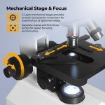 Darkfield & Brightfield Compound Microscope with Monitor