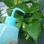 Valchoose 2-Pack 250ml Plastic Wash Bottles (Blue)