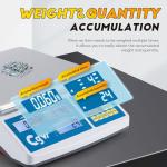 Digital Counting Scale for Small Parts and Coins