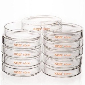 Borosilicate Glass Petri Dishes, 10 Pack