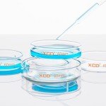 Borosilicate Glass Petri Dishes, 10 Pack