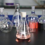 10 Pack of 9mm Solid Rubber Stoppers