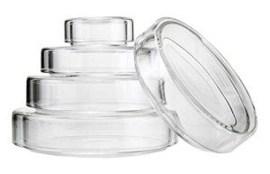 DONLAB 180mm Borosilicate Glass Petri Dish