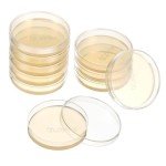 Prepoured Agar Plates for Science Projects (10pcs)