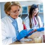 Prepoured Agar Plates for Science Projects (10pcs)