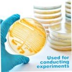 Prepoured Agar Plates for Science Projects (10pcs)