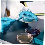 Prepoured Agar Plates for Science Projects (10pcs)