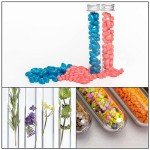 45ml Plastic Test Tubes with Screw Caps - 120 Pcs