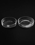 QWORK 100mm Glass Petri Dishes with Lids - 5 Pack