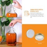 Glass Water Bottle with Metal Screw Cap, 1 Gallon