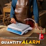 Digital Counting Scale for Small Parts and Coins