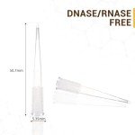250µL Universal Pipette Tips - RNase/DNase Free