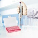 250µL Universal Pipette Tips - RNase/DNase Free