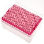 250µL Universal Pipette Tips - RNase/DNase Free