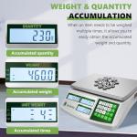 Digital Counting Scale - 30kg Capacity, 0.1g Precision