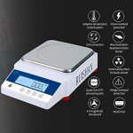 RUISHAN 1000g Digital Analytical Balance Scale