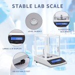 High Precision 300g Lab Scale with RS232 Interface