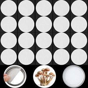 Adhesive Filter Paper Discs for Mushroom Cultivation