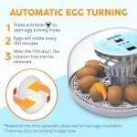Okkobi M12 Egg Incubator with Automatic Turning