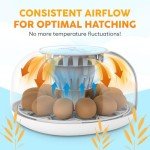 Okkobi M12 Egg Incubator with Automatic Turning