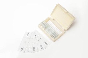 Onion Root Tips Mitosis Slides - 10 Pack