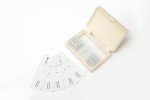 Onion Root Tips Mitosis Slides - 10 Pack