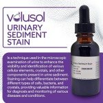 Urinary Sediment Stain - Single Pack