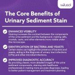 Urinary Sediment Stain - Single Pack