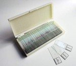 Mammalian Histology Slide Set by Mountain Home