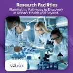 Urinary Sediment Stain - Single Pack