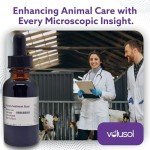 Urinary Sediment Stain - Single Pack