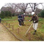 Power Rotary Scissors 385-581 for Labs