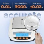 Bonvoisin 3000g Precision Electronic Lab Scale